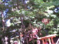 100_6738.jpg